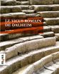 Le vicus romain de Dalheim